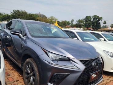 Pre-owned Lexus NX for sale in 