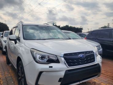Pre-owned Subaru Forester for sale in 
