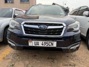 Pre-owned Subaru Forester for sale in 