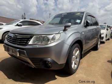 Pre-owned Subaru Forester for sale in 