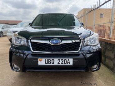 Pre-owned Subaru Forester for sale in 