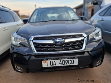 Pre-owned Subaru Subaru forester for sale in 
