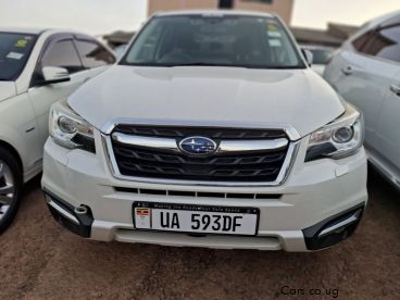 Pre-owned Subaru Forester for sale in 