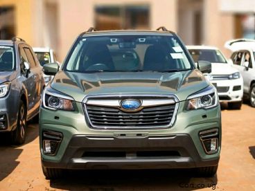 Pre-owned Subaru Forester E-BOXER for sale in 