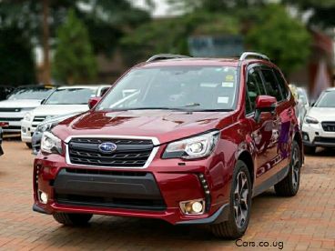 Pre-owned Subaru FORESTER for sale in 