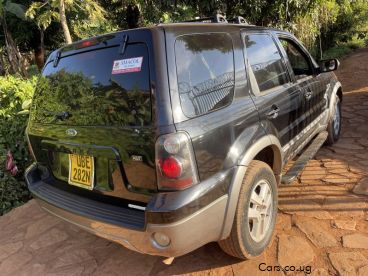 Pre-owned Ford escape xlt for sale in
