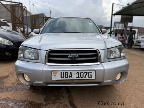 Pre-owned Subaru Forester for sale in 