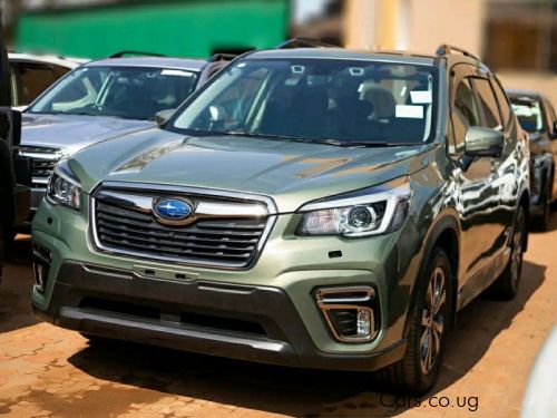 Pre-owned Subaru Forester for sale in 